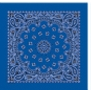 Paisley Bandanna (Imported)